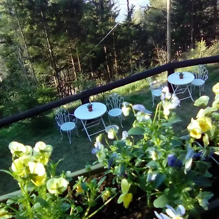 Abetina Levico Terme